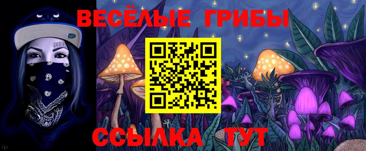 Алексин  Псилоцибиновые грибы MAGIC MUSHROOMS  Вход с VPN 