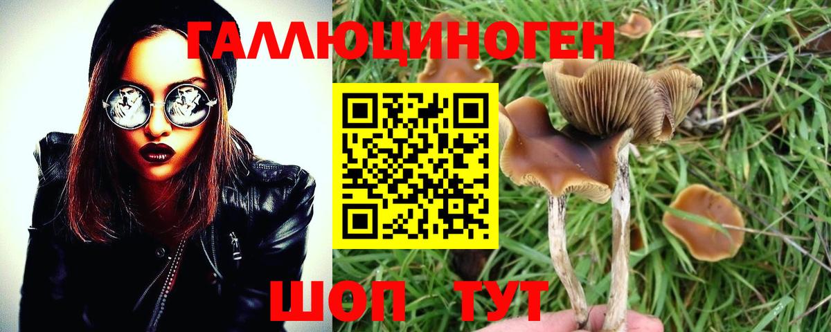 Псилоцибиновые грибы MAGIC MUSHROOMS Алексин